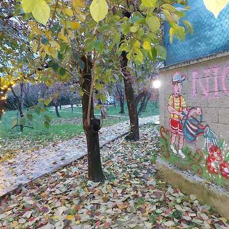 Nicolaus Hidden Gem Villa Shkodra Exterior foto