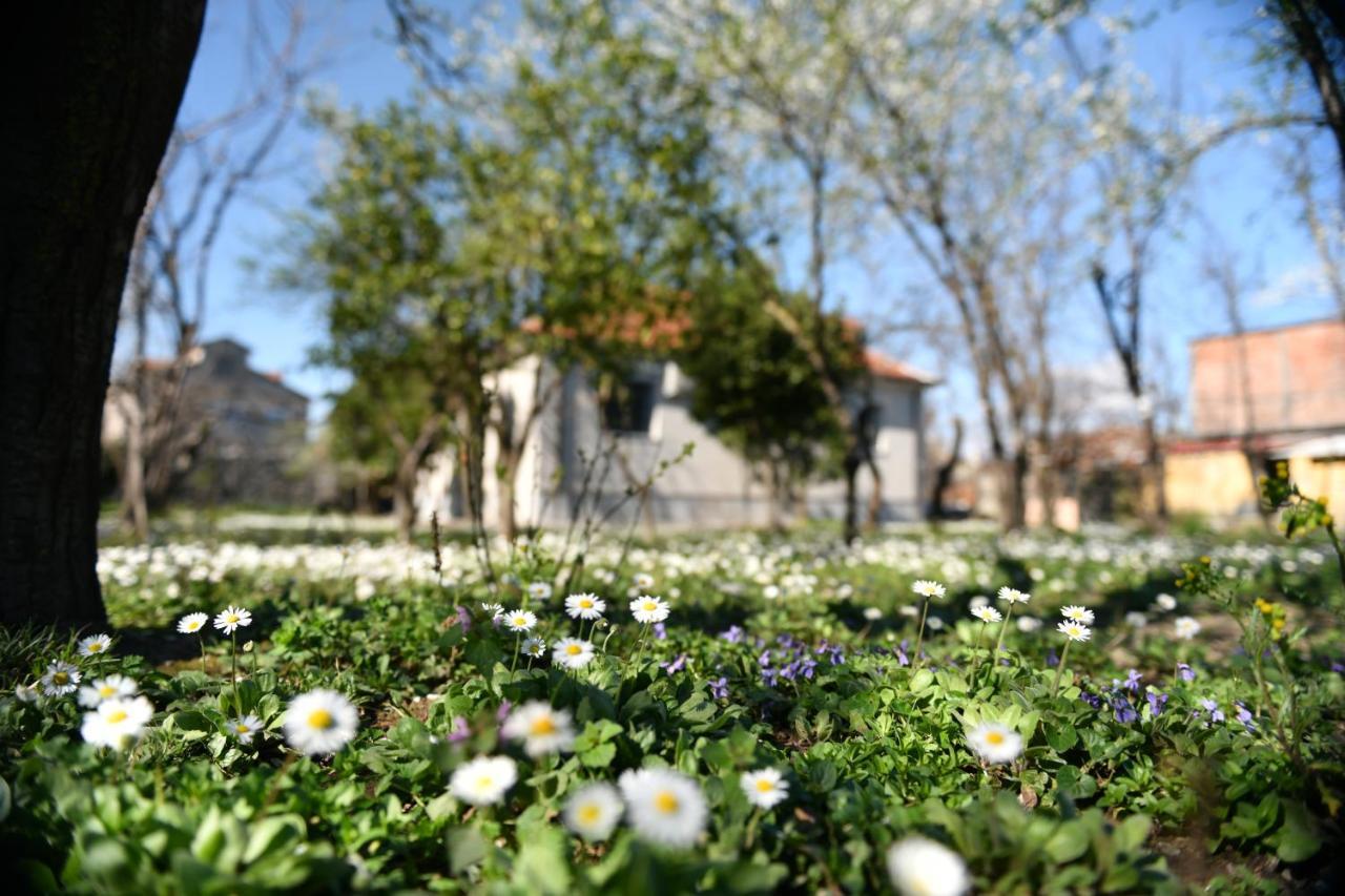 Nicolaus Hidden Gem Villa Shkodra Exterior foto