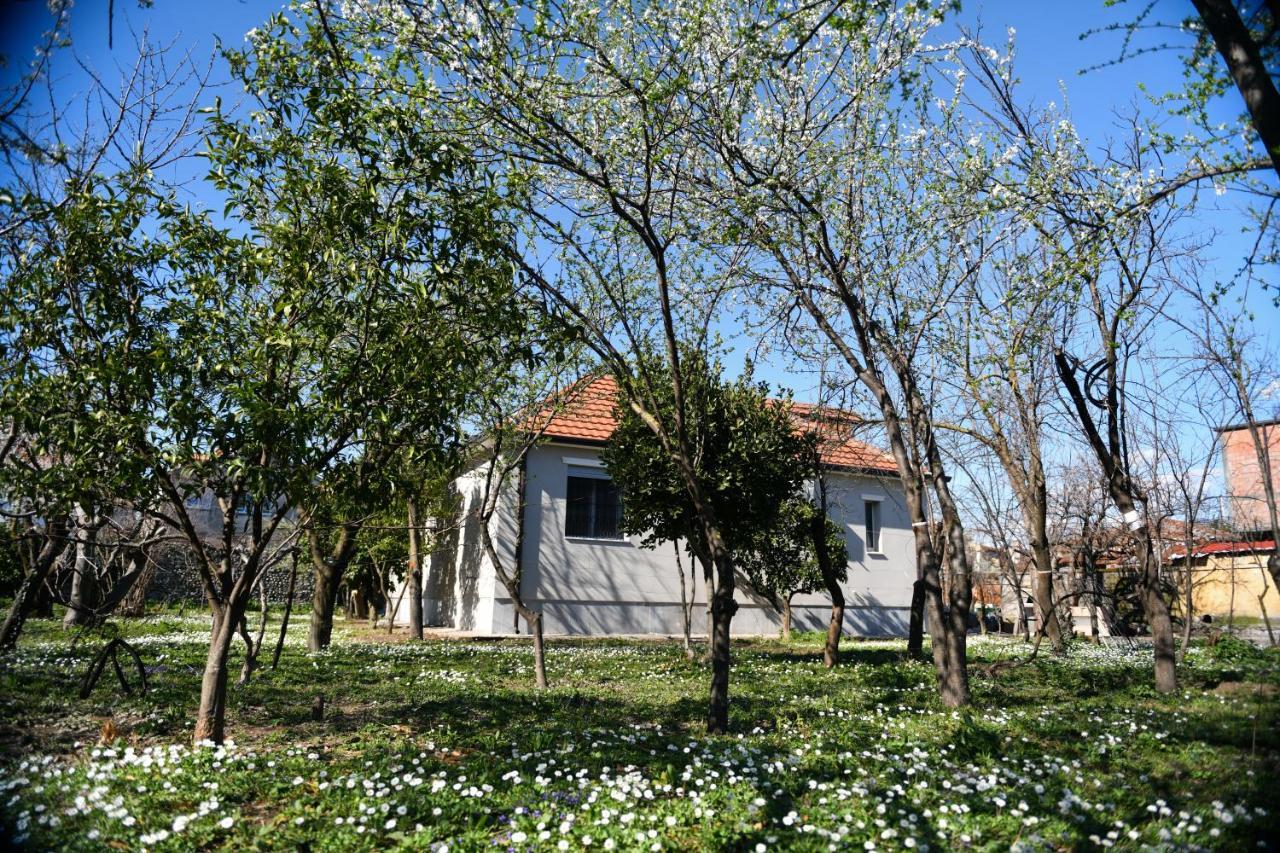 Nicolaus Hidden Gem Villa Shkodra Exterior foto