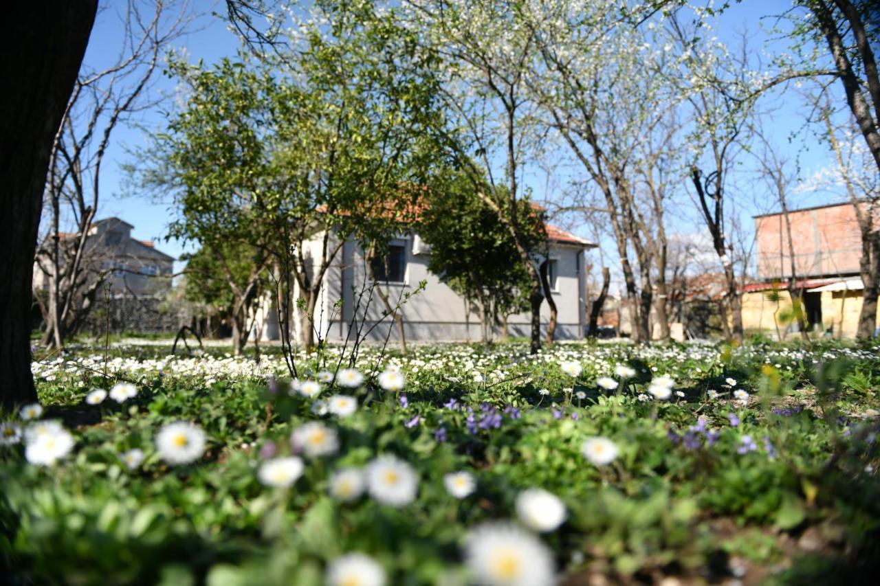 Nicolaus Hidden Gem Villa Shkodra Exterior foto