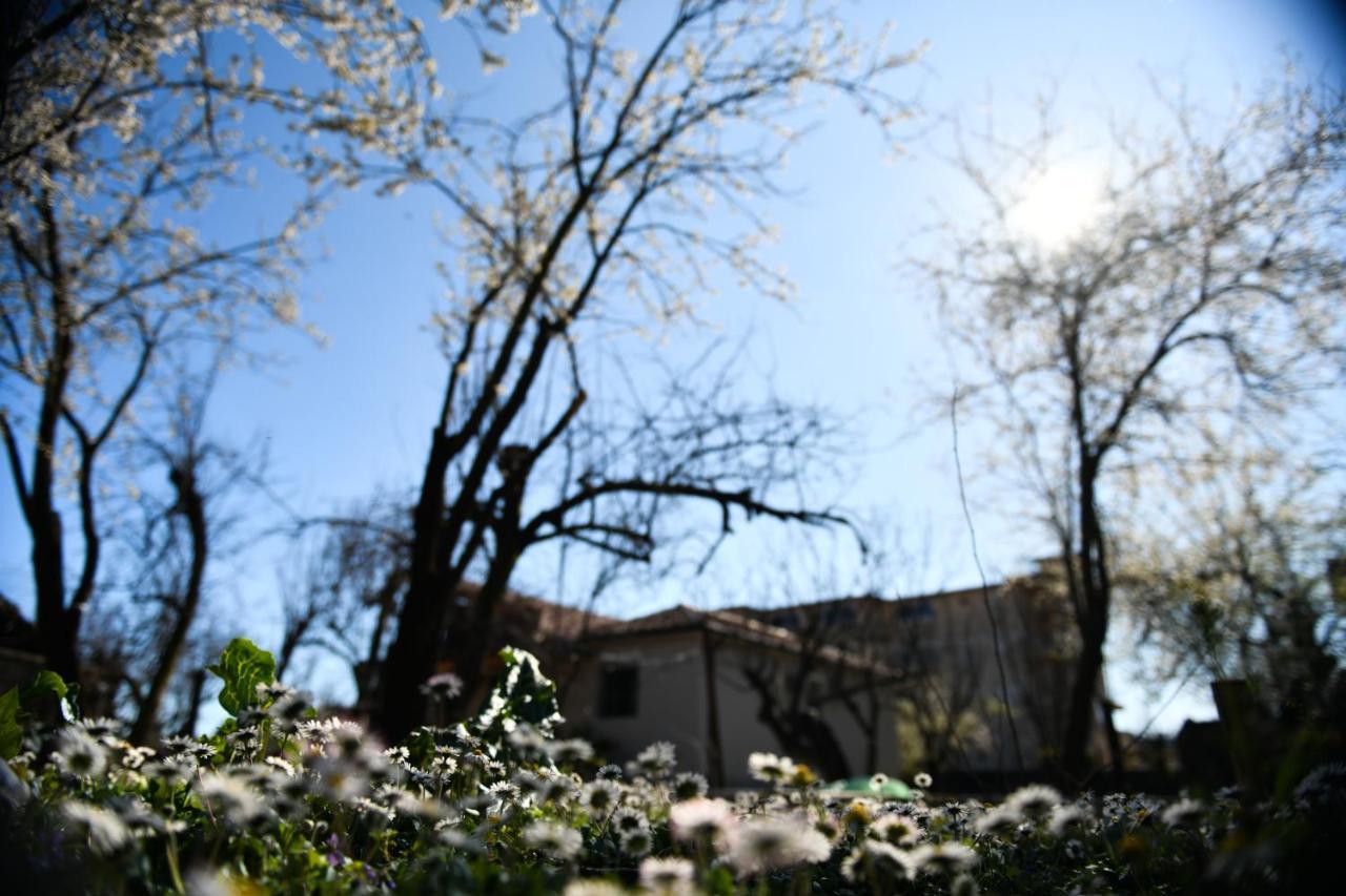 Nicolaus Hidden Gem Villa Shkodra Exterior foto
