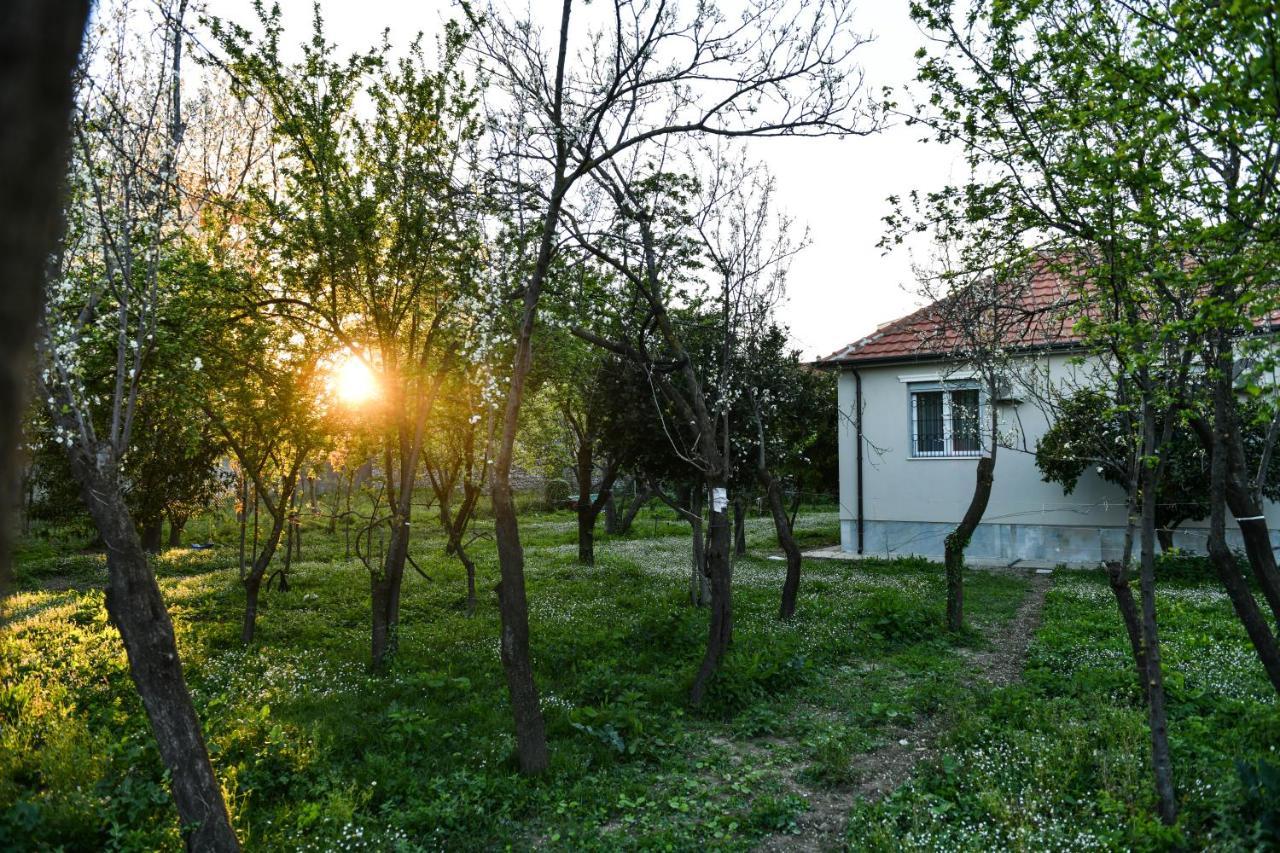 Nicolaus Hidden Gem Villa Shkodra Exterior foto