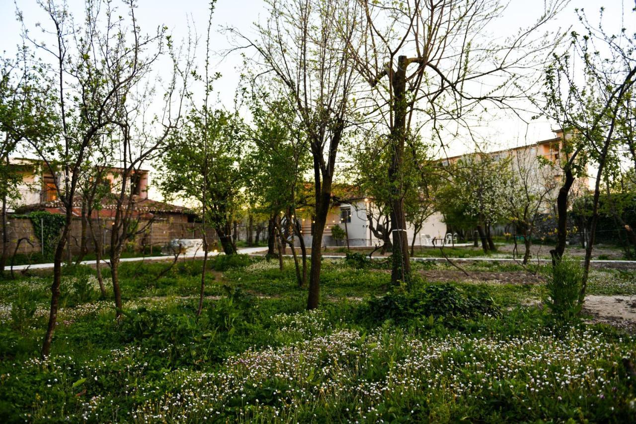 Nicolaus Hidden Gem Villa Shkodra Exterior foto