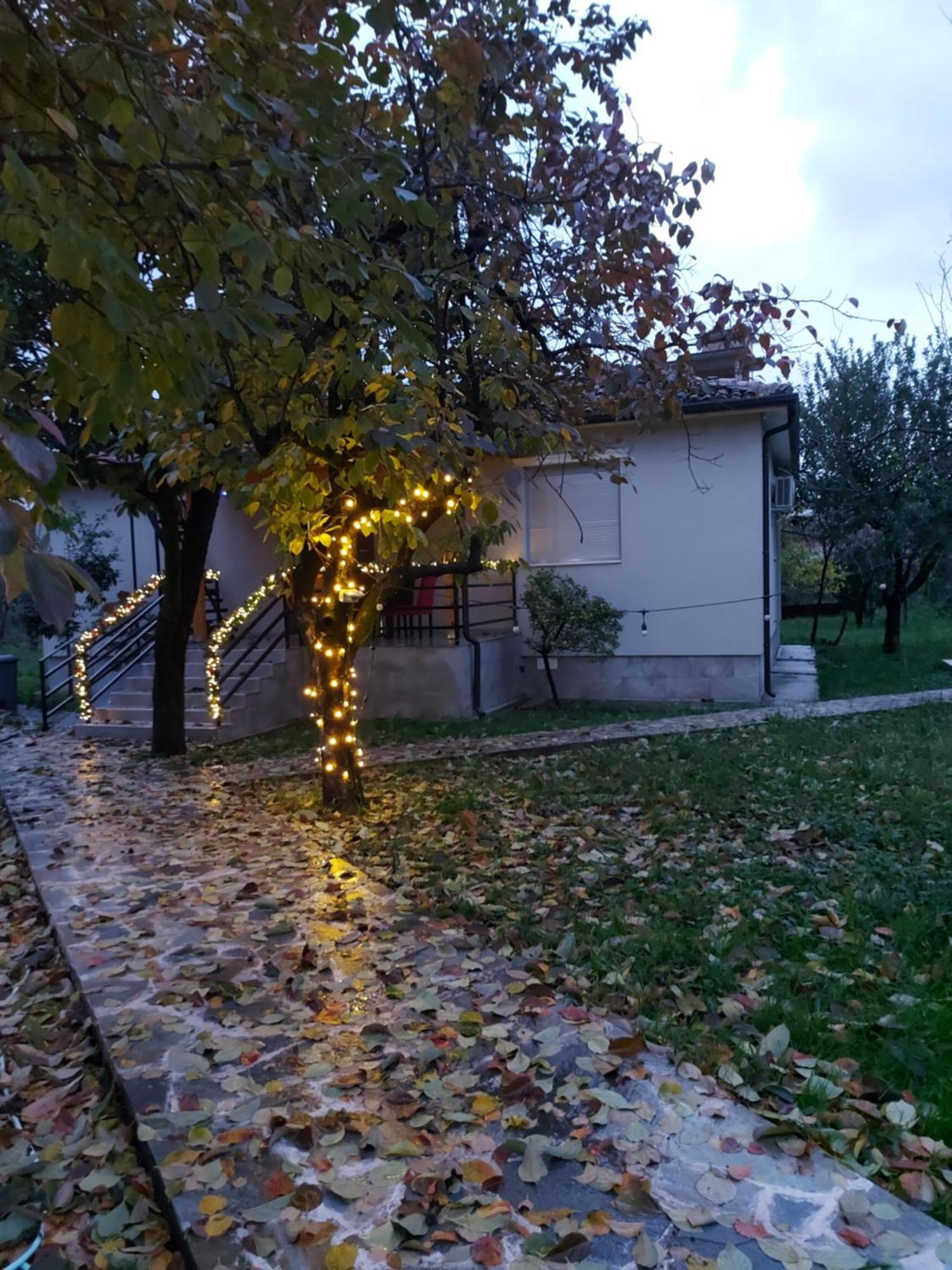 Nicolaus Hidden Gem Villa Shkodra Exterior foto