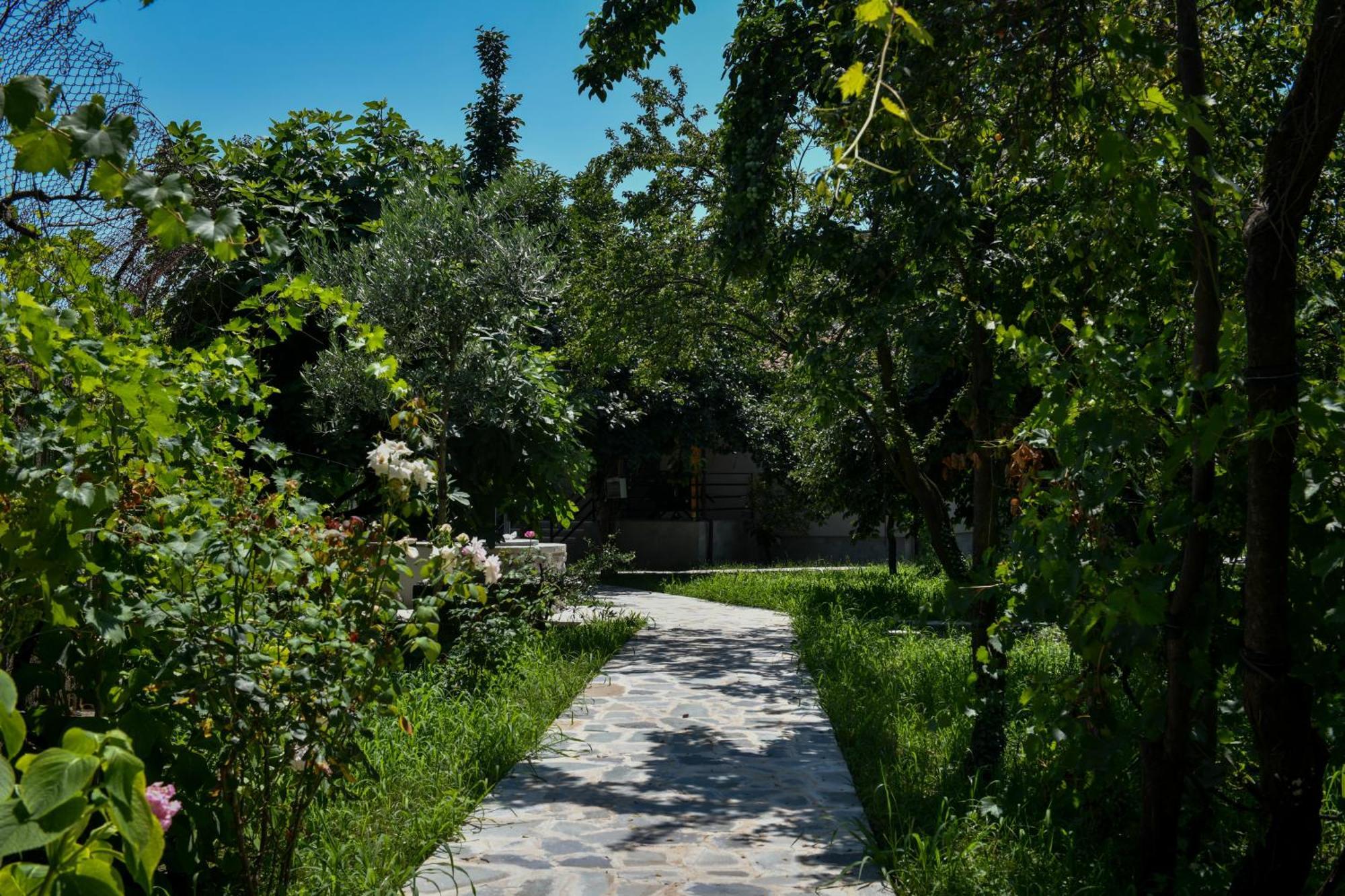 Nicolaus Hidden Gem Villa Shkodra Exterior foto