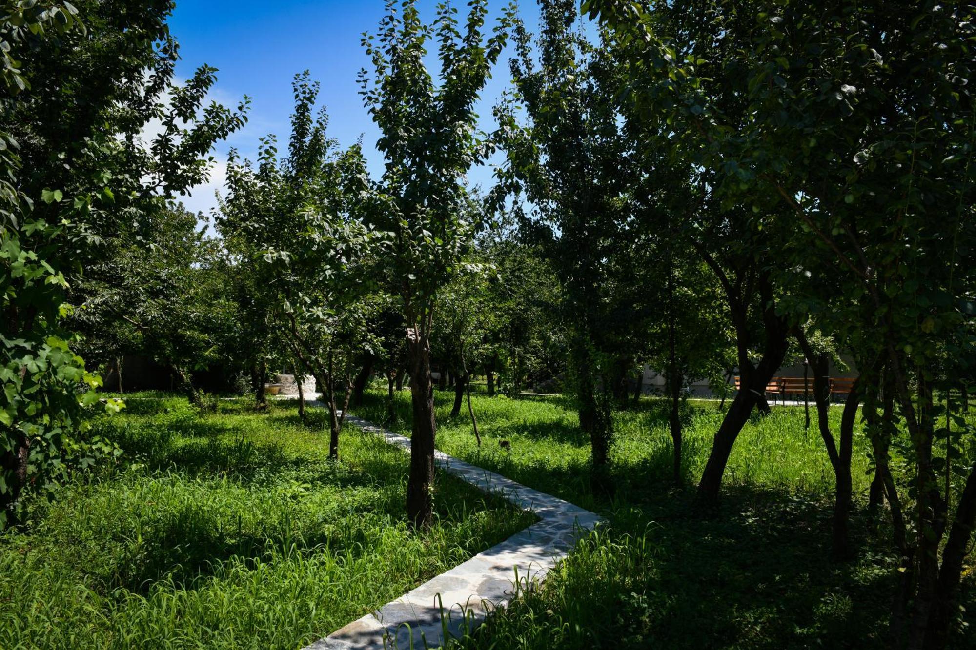Nicolaus Hidden Gem Villa Shkodra Exterior foto