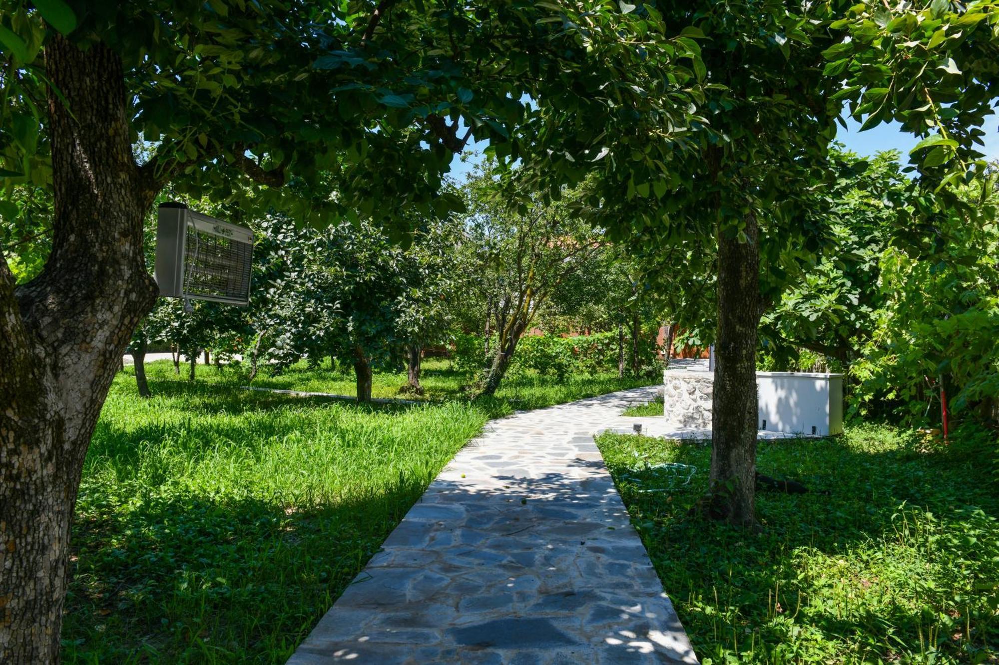 Nicolaus Hidden Gem Villa Shkodra Exterior foto