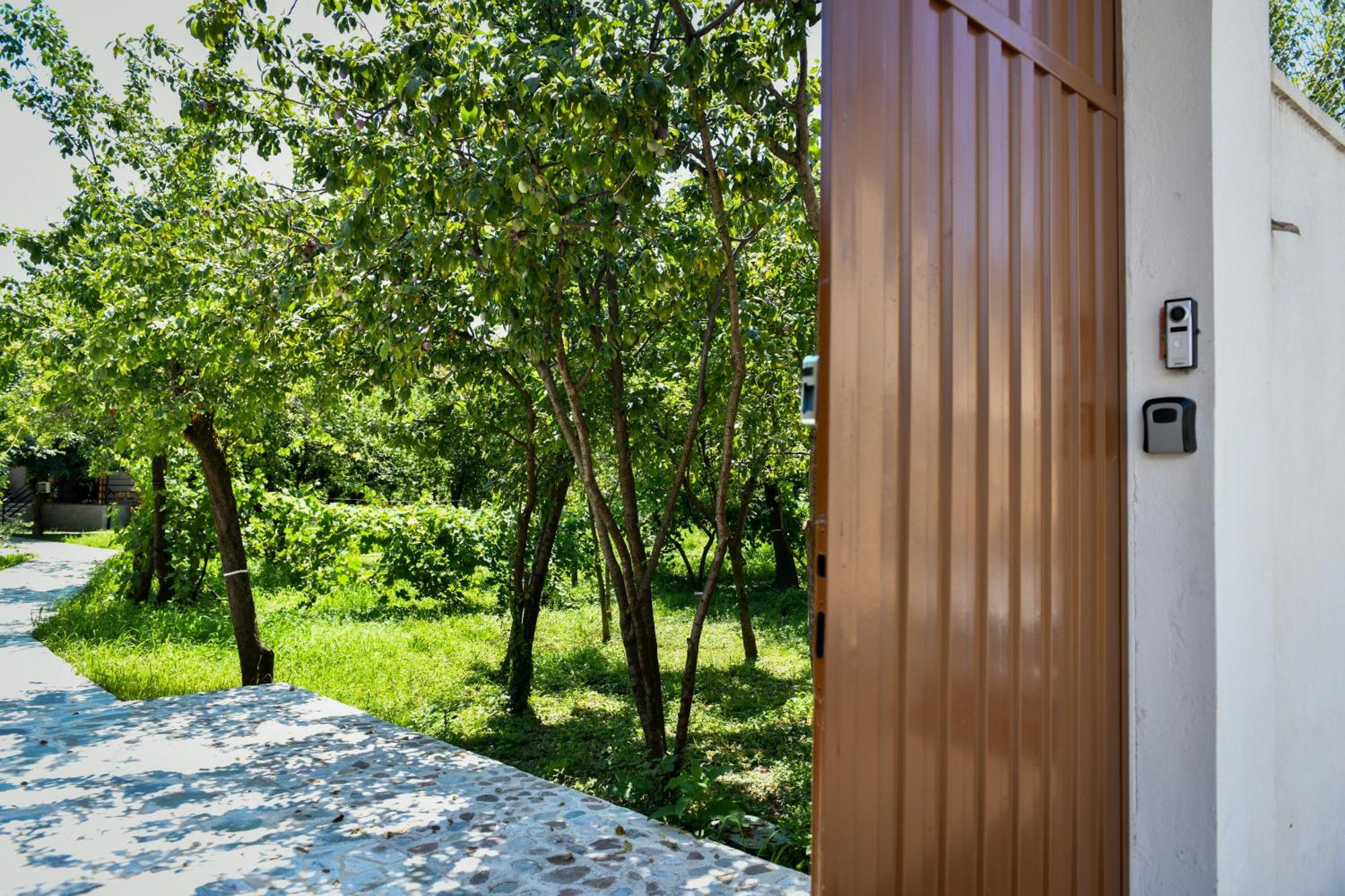 Nicolaus Hidden Gem Villa Shkodra Exterior foto